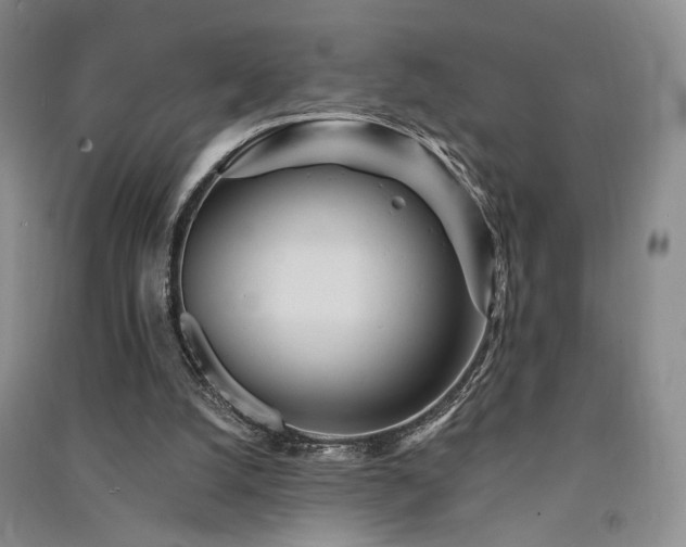 X0000091510056200708171204