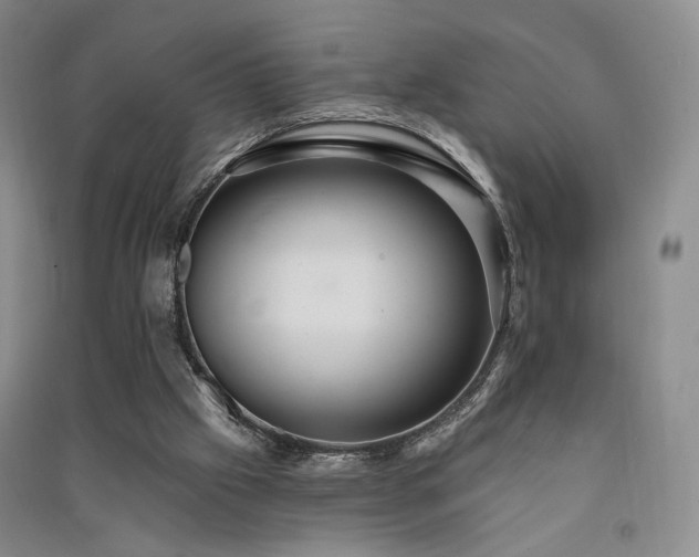 X0000091510057200708171204
