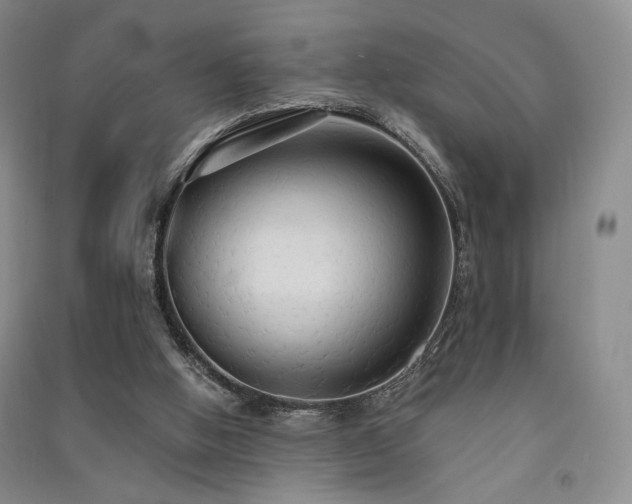 X0000091510058200708171204