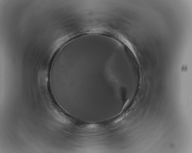 X0000091510059200708171204