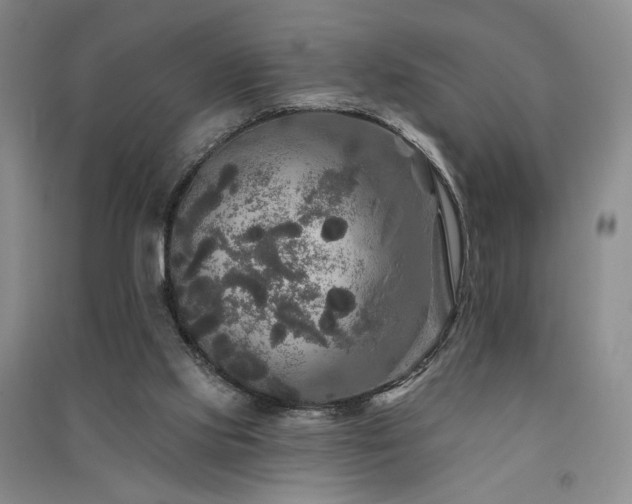 X0000091510061200708171204