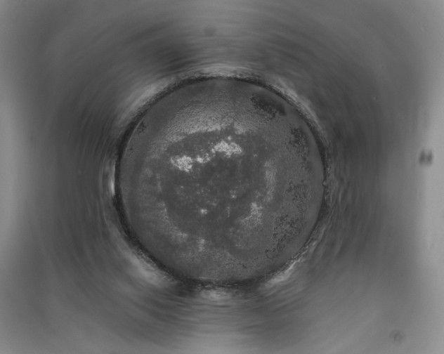 X0000091510062200708171204