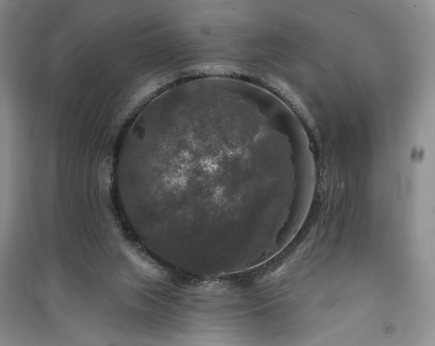 X0000091510063200708171204