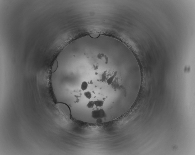 X0000091510065200708171204
