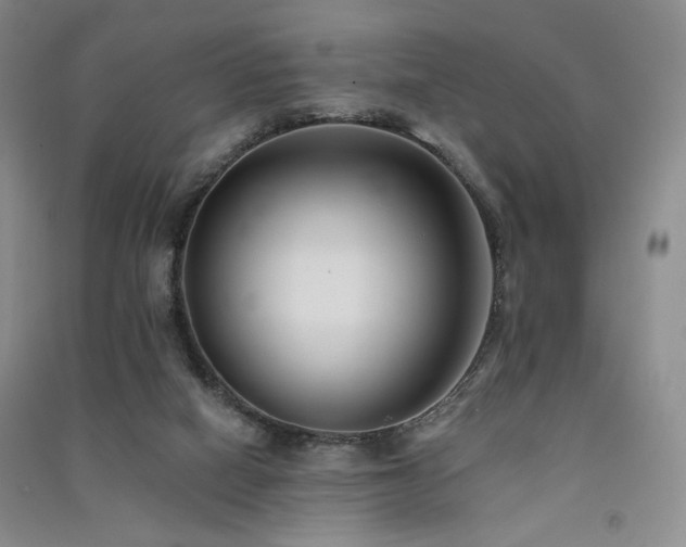 X0000091510066200708171204