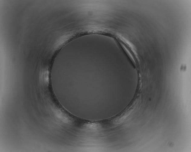 X0000091510067200708171204