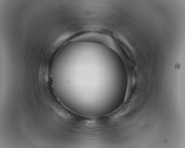 X0000091510068200708171204