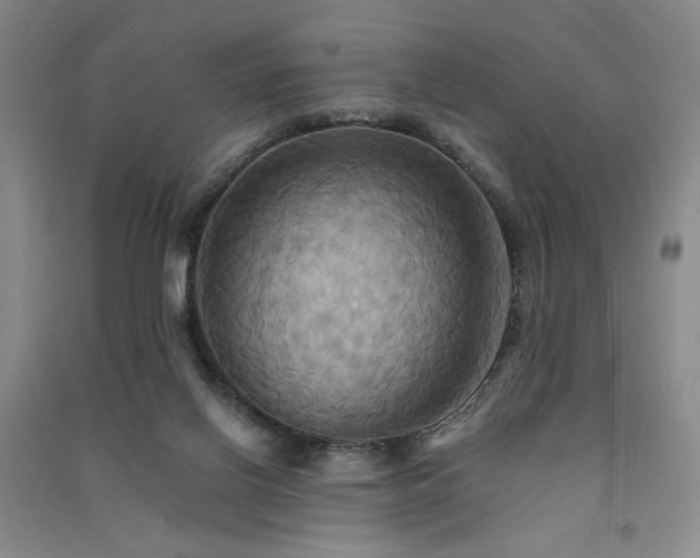 X0000091510070200708171204