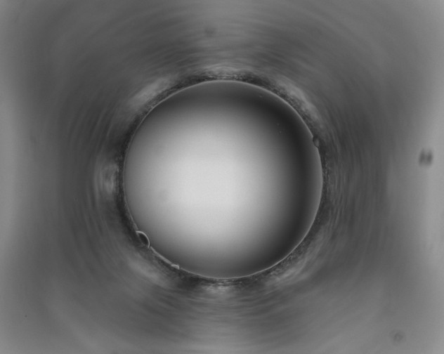 X0000091510071200708171204