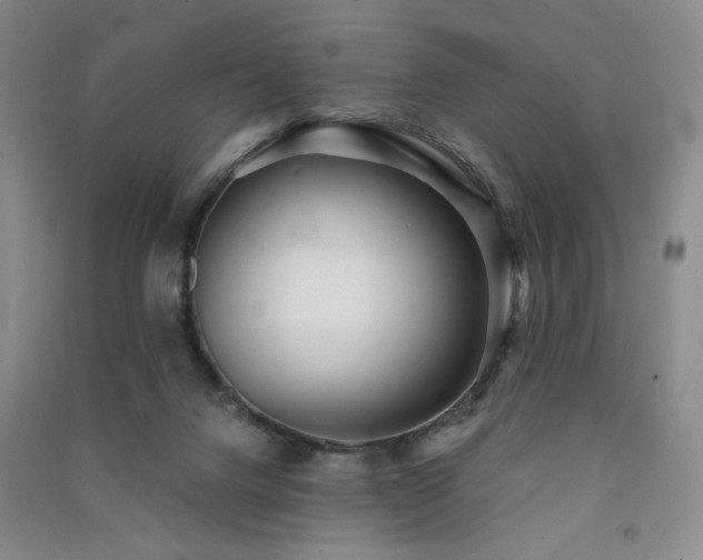 X0000091510072200708171204