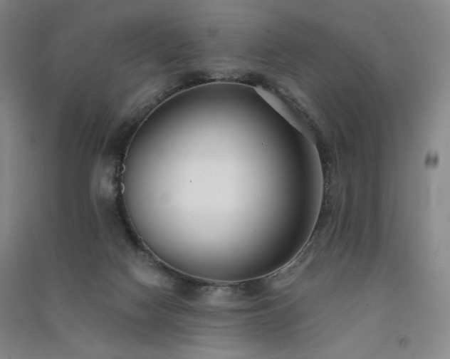 X0000091510074200708171204