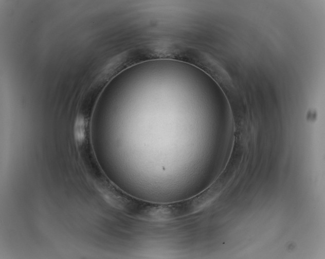 X0000091510075200708171204
