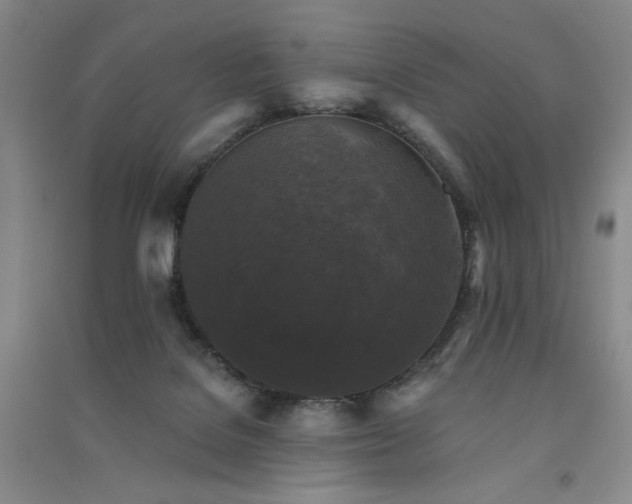 X0000091510076200708171204