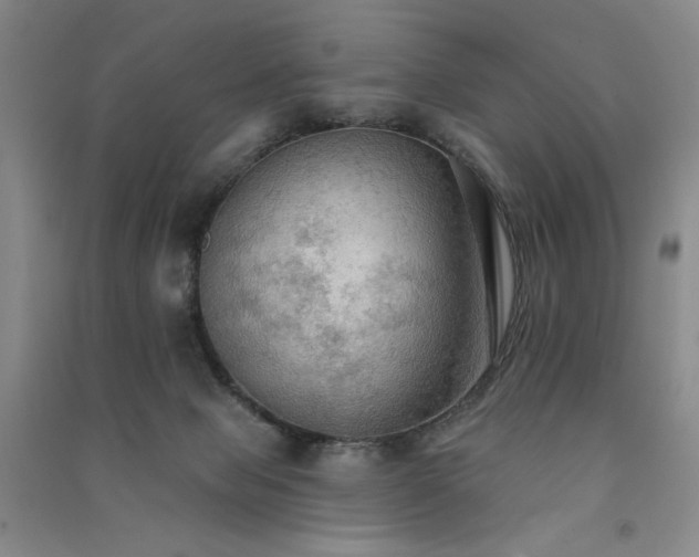 X0000091510077200708171204