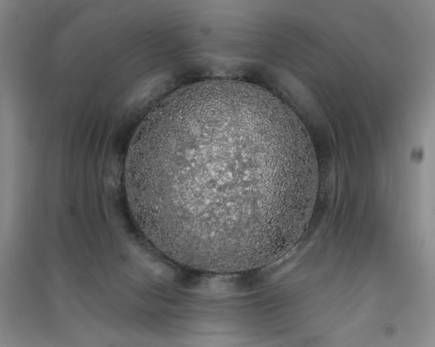 X0000091510078200708171204