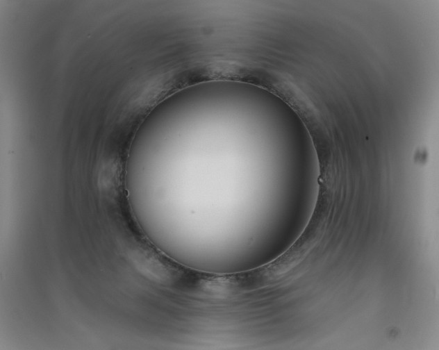 X0000091510079200708171204