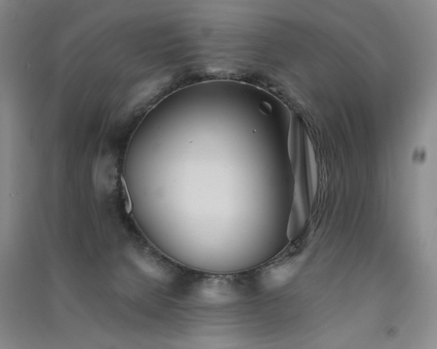 X0000091510080200708171204