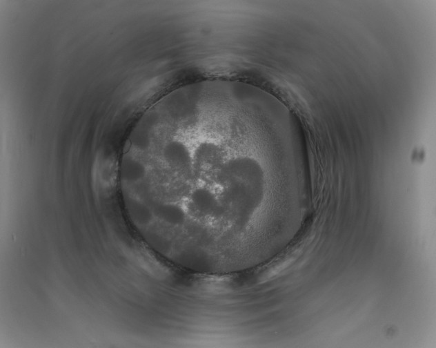 X0000091510081200708171204