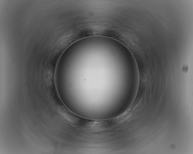 X0000091510082200708171204