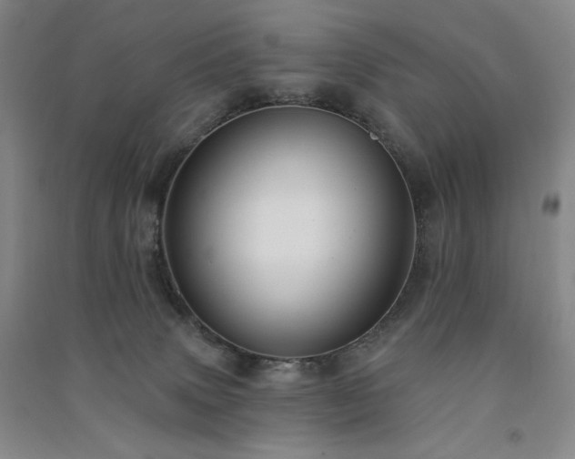 X0000091510083200708171204