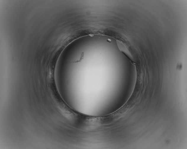 X0000091510084200708171204