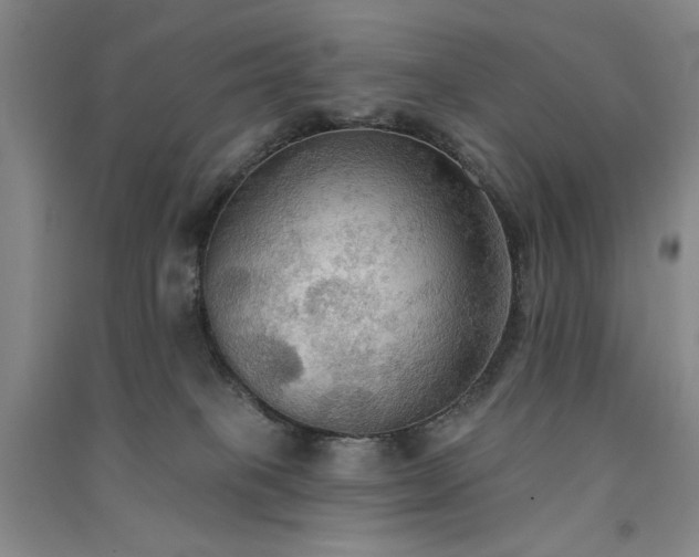 X0000091510085200708171204