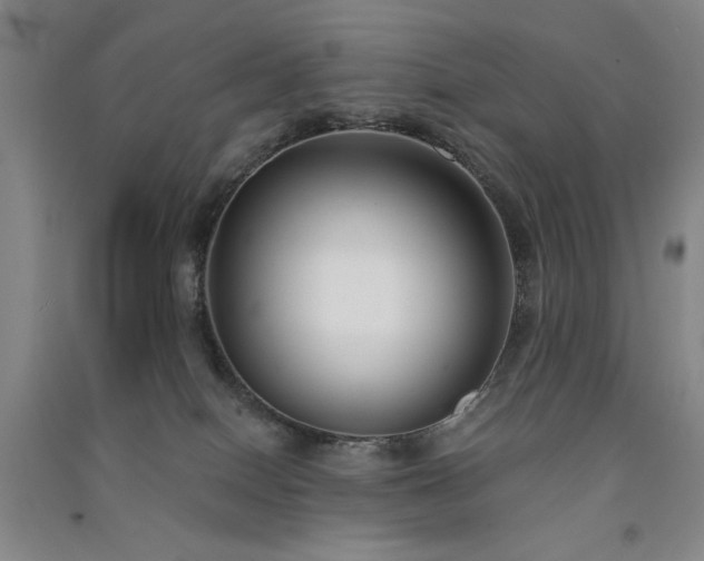 X0000091510086200708171204