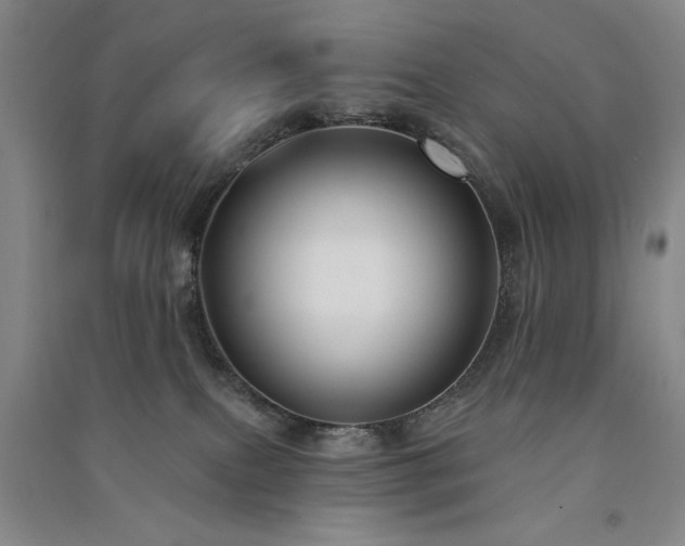 X0000091510087200708171204