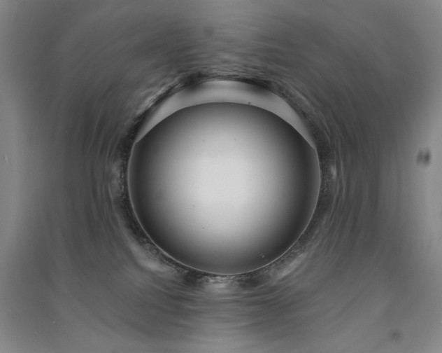 X0000091510088200708171204