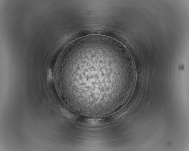 X0000091510089200708171204