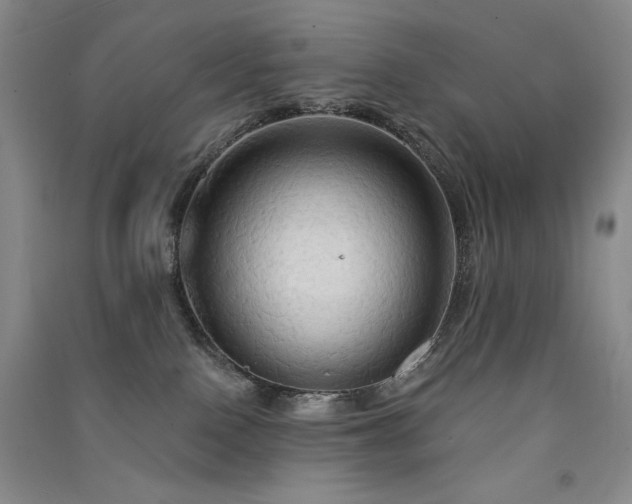 X0000091510090200708171204