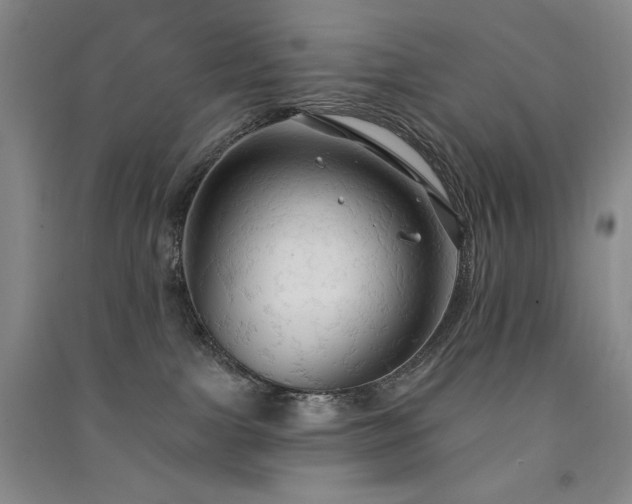 X0000091510091200708171204