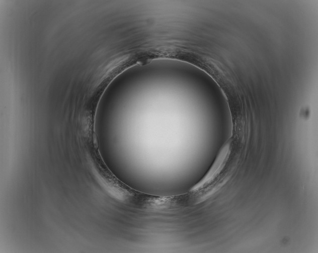 X0000091510092200708171204