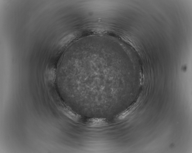 X0000091510093200708171204