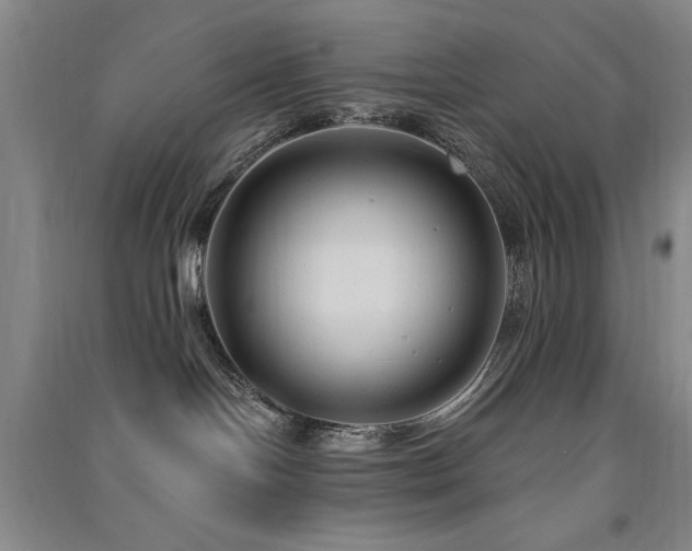 X0000091510094200708171204