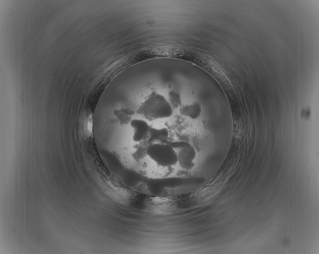 X0000091510095200708171204