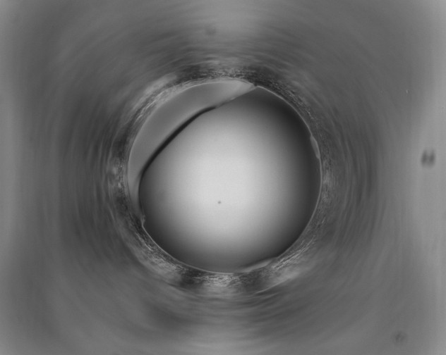 X0000091510096200708171204