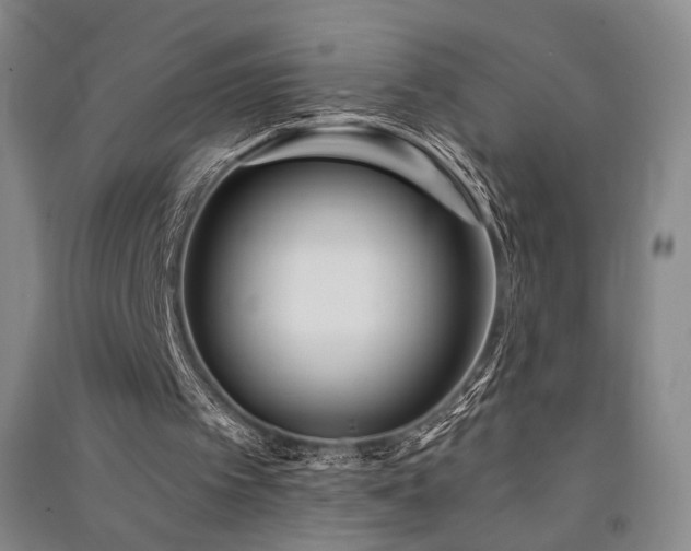 X0000091510097200708171204