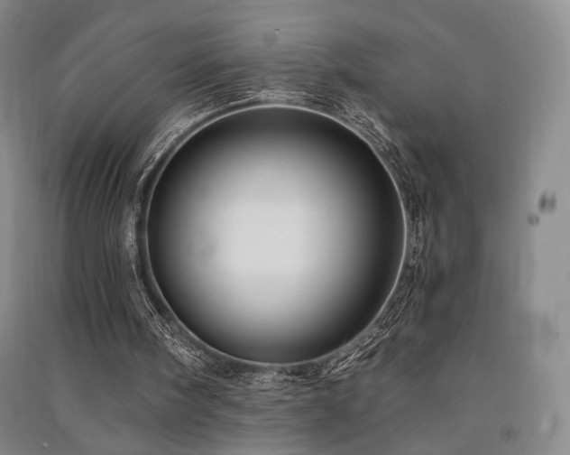X0000091510098200708171204