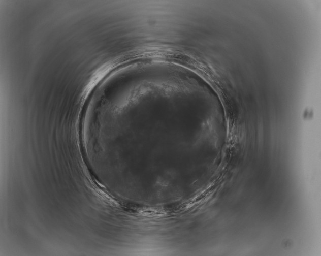 X0000091510099200708171204