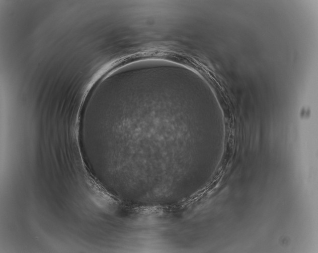 X0000091510100200708171204