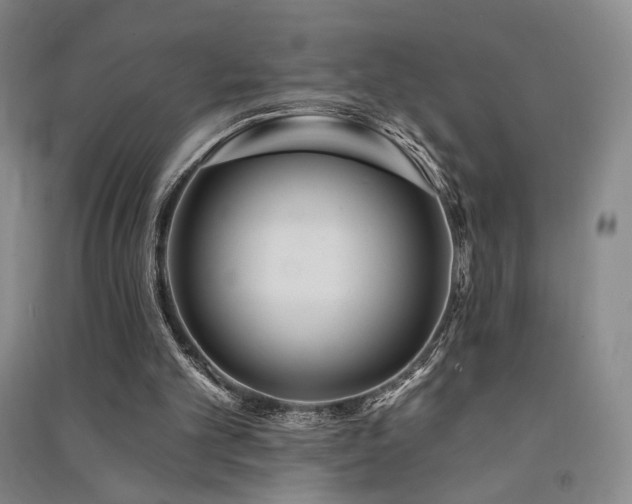 X0000091510101200708171204