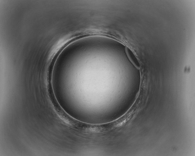 X0000091510103200708171204