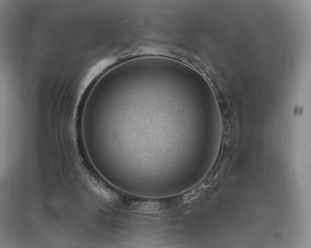 X0000091510104200708171204