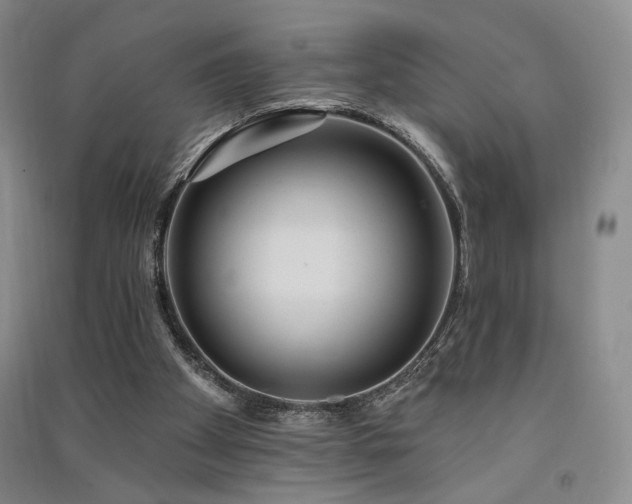 X0000091510105200708171204