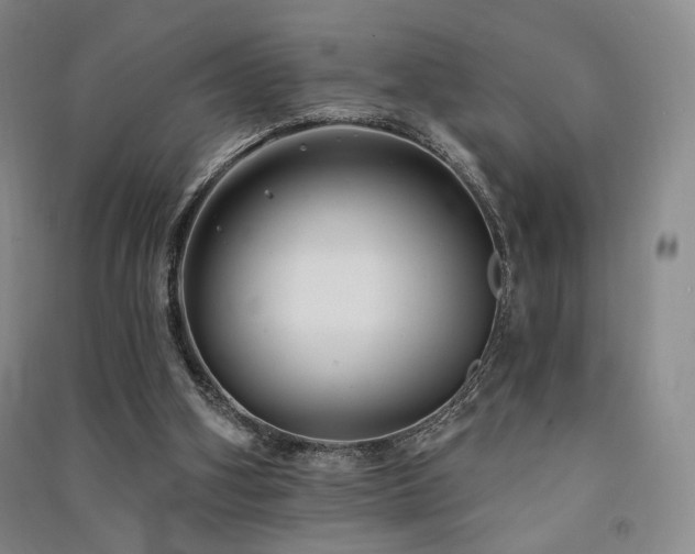 X0000091510106200708171204