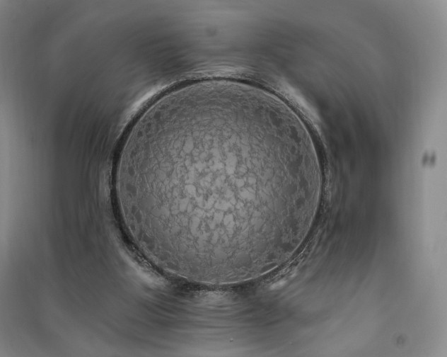 X0000091510107200708171204