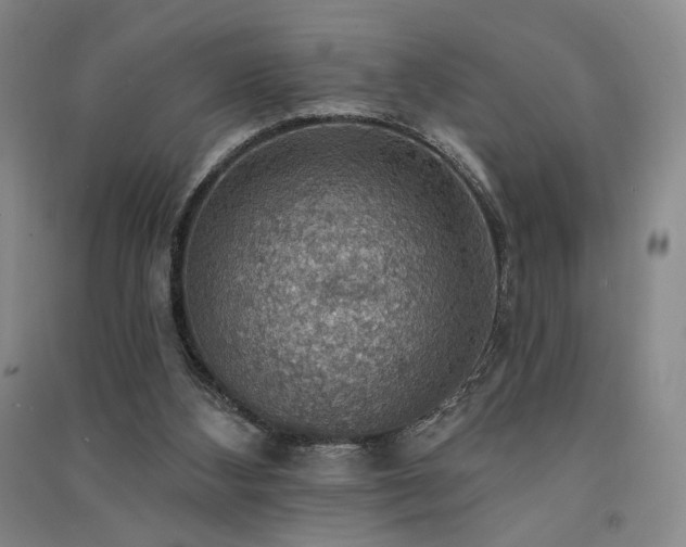 X0000091510108200708171204