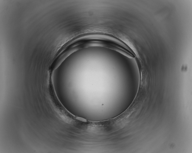 X0000091510109200708171204
