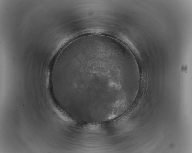 X0000091510110200708171204